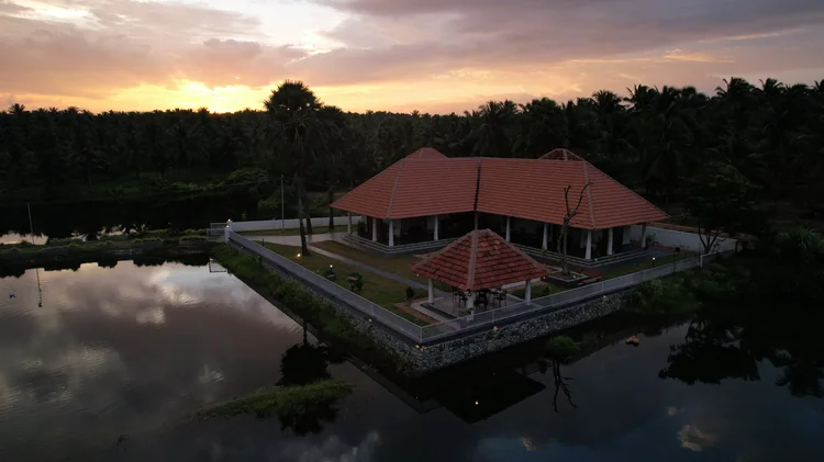 Palm Grove Landscape